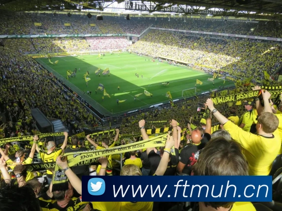 星空链接官网平台生态图